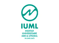 iulm
