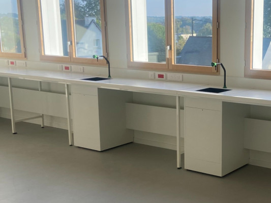 Paillasses de laboratoire scolaire murales sur mesure